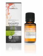 Eucalyptus Globulus Essential Oil 10ml