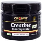 Creatine Monohydrate 300 gr