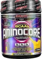 Aminocore 462 gr