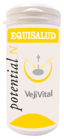 Vejivital 60 Capsules