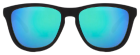 One Tr90 Sunglasses