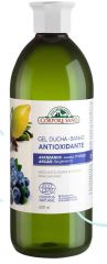 Argan Blueberry Antioxidant Bath Gel 600 ml