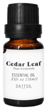 Essential Oil for Aromatherapy with Cedar Leaf