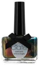 The Paint Pot Nail Polish 13.5ml