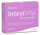 Intestite Enzymes