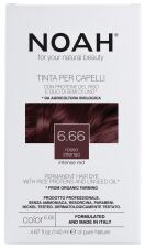 Hair Coloring Kit 140 ml