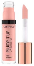 Plump It Up Lip Booster 3.5 ml