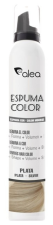Silver Hair Color Foam 150 ml
