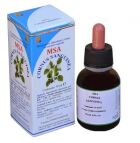 Msa Cornus Sanguinea Buds 50 ml